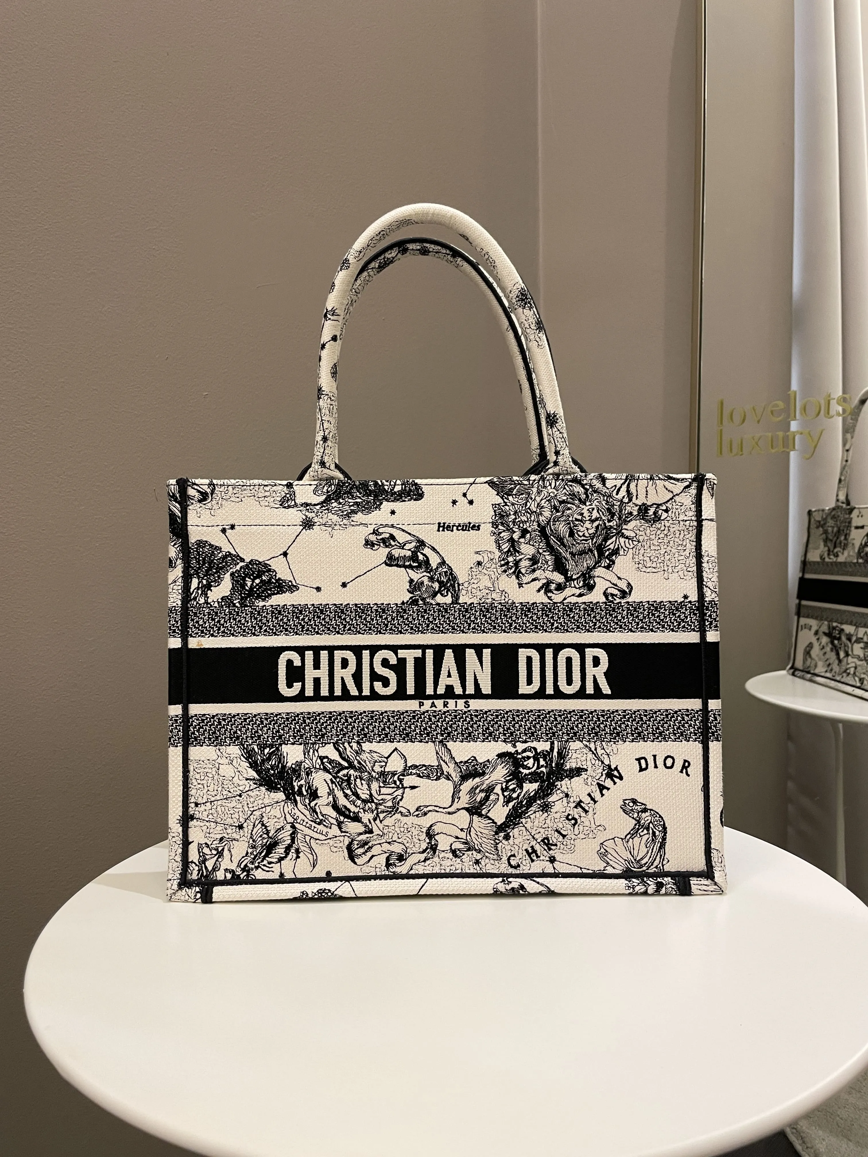 Dior Toile De Jouy Zodiac Book Tote Black/ White Embroidery