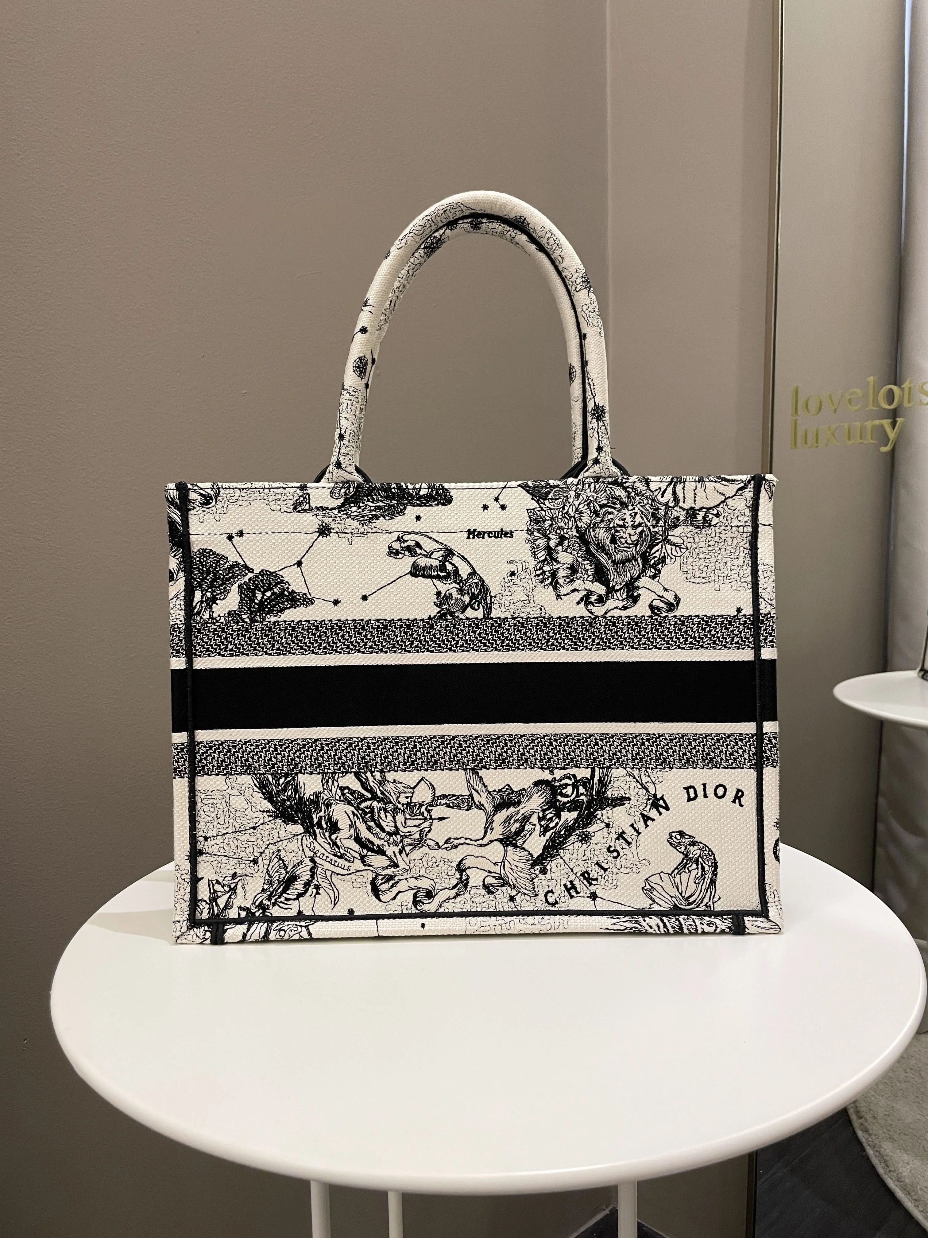 Dior Toile De Jouy Zodiac Book Tote Black/ White Embroidery