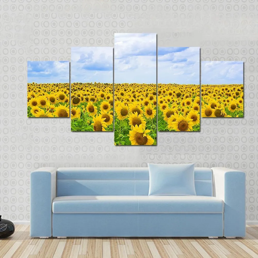 Field Of Sunflower Canvas Wall Art