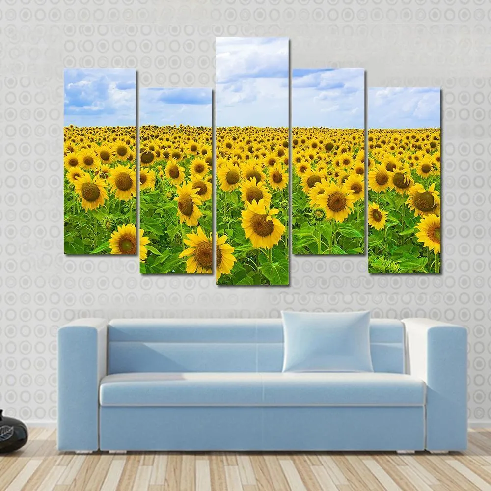 Field Of Sunflower Canvas Wall Art