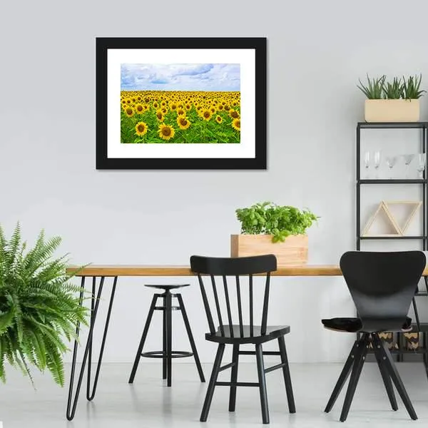 Field Of Sunflower Canvas Wall Art