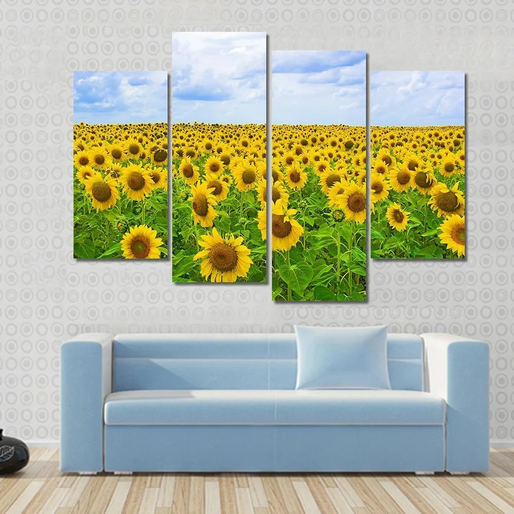 Field Of Sunflower Canvas Wall Art