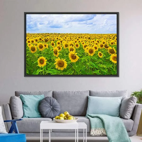 Field Of Sunflower Canvas Wall Art