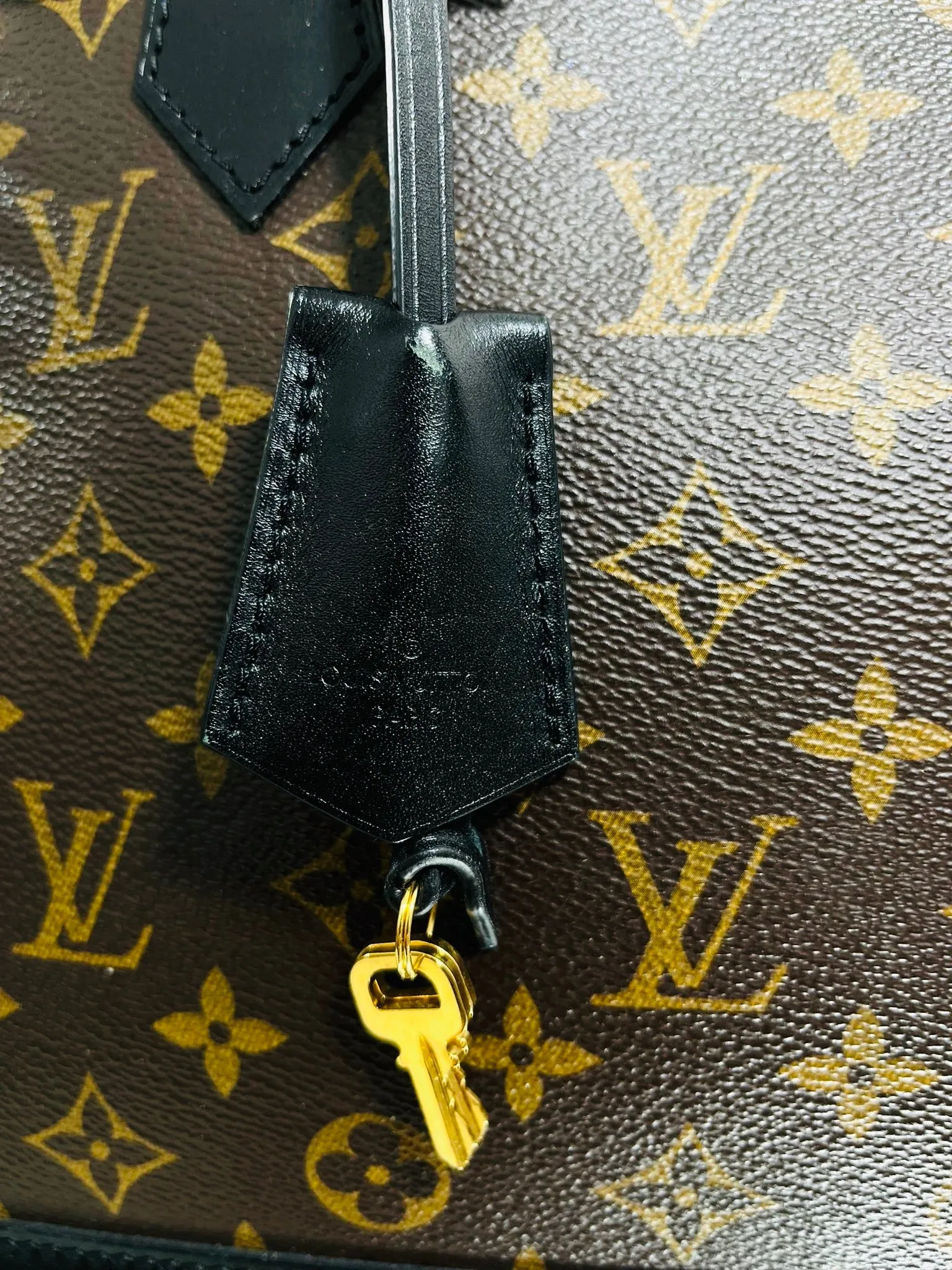 Louis Vuitton Cruise Runway Monogram Macassar Studded Alma Bag