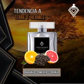 Tendencia a CTerre d´ Hermes